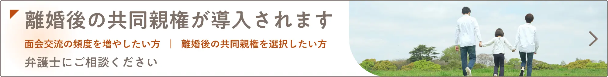 離婚後の共同親権が導入されます。弁護士にご相談ください。