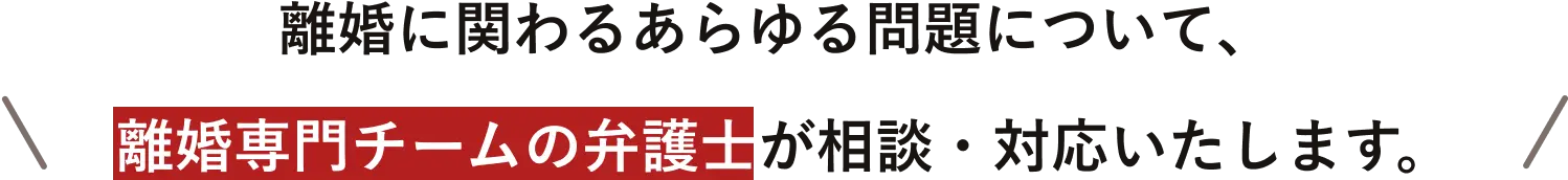 離婚に関わるあらゆる問題について離婚専門チームの弁護士が相談・対応いたします。